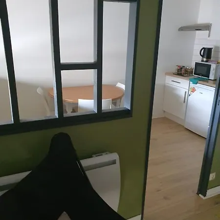 Apartment Proche Chu Campus Commerces *